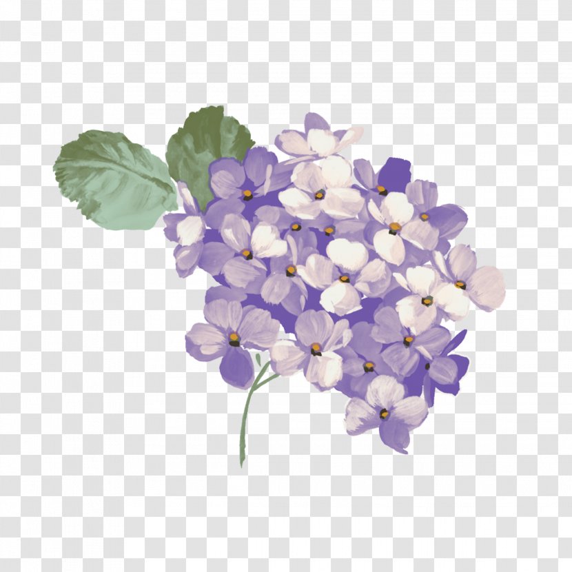 Clip Art Oakleaf Hydrangea French Image - Pink Flowers - Purple Background Space Transparent PNG