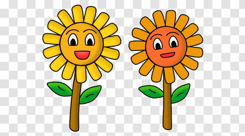 Two-dimensional Space Three-dimensional Common Sunflower Drawing - Daisy Family - Gambar Tiga Dimensi Transparent PNG