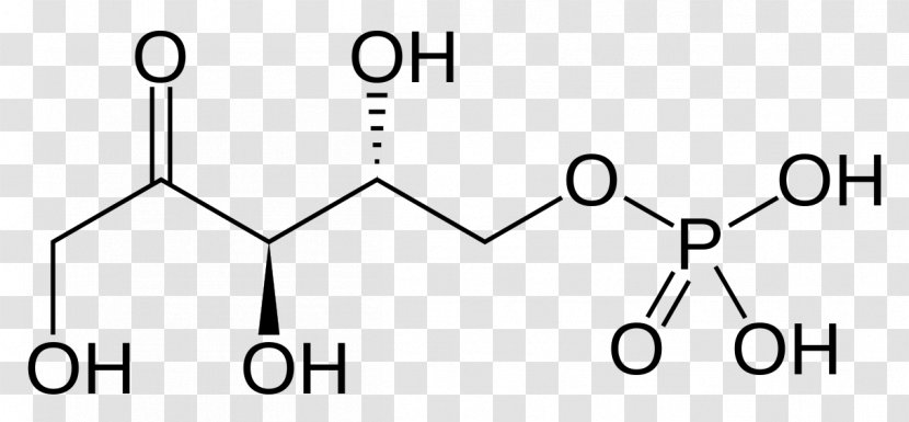 Ribulose 1,5-bisphosphate 5-phosphate Xylulose Ribose - Logo - 5phosphate Transparent PNG
