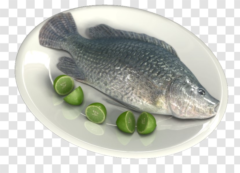Salmon Fish Products 09777 Oily Tilapia - 3D Transparent PNG