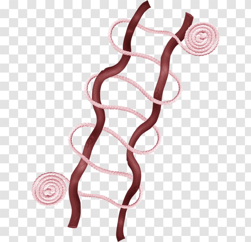 Pink Rope Clip Art - Flower - And SFAS Transparent PNG