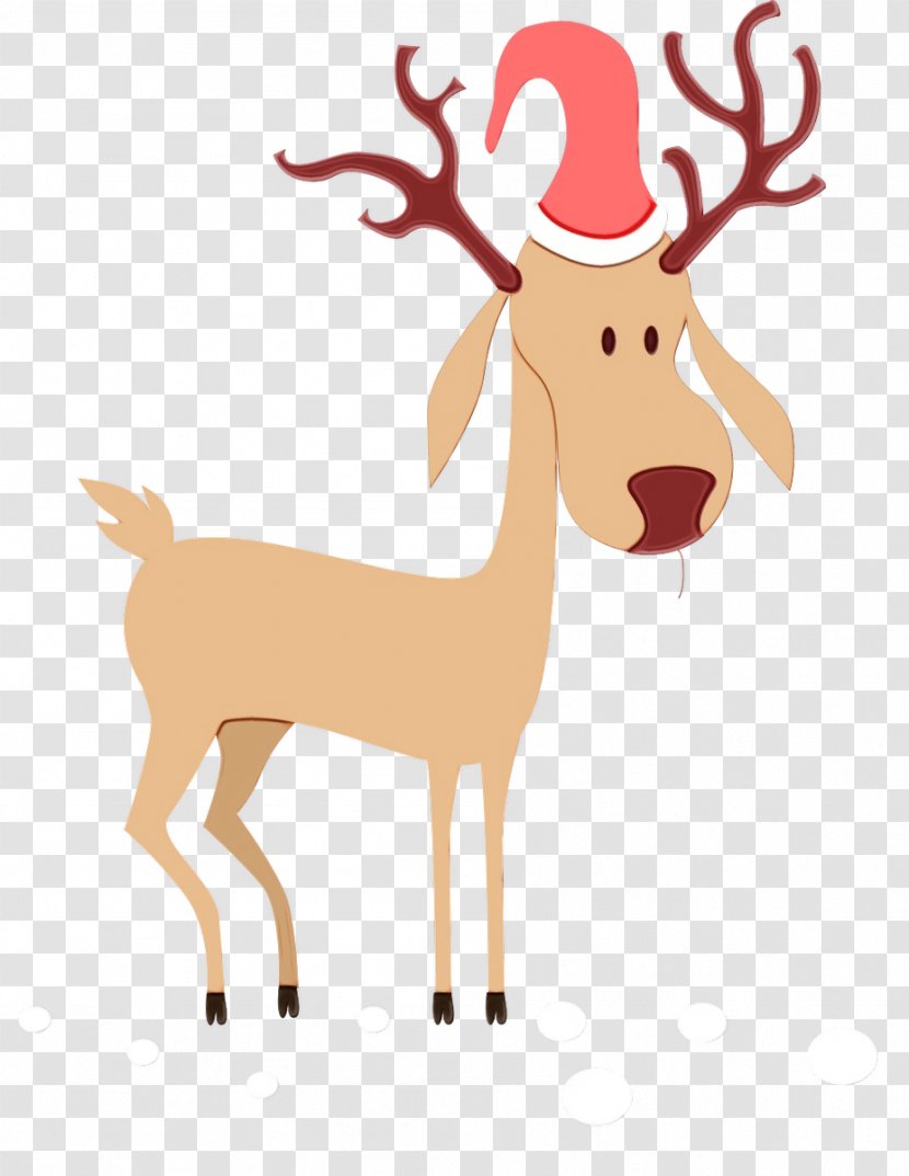 Reindeer - Cartoon - Tail Elk Transparent PNG
