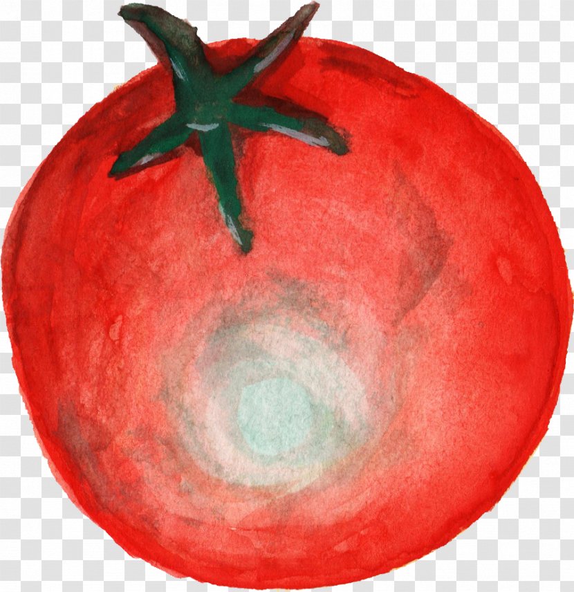 Tomato - Drawing - Sphere Transparent PNG