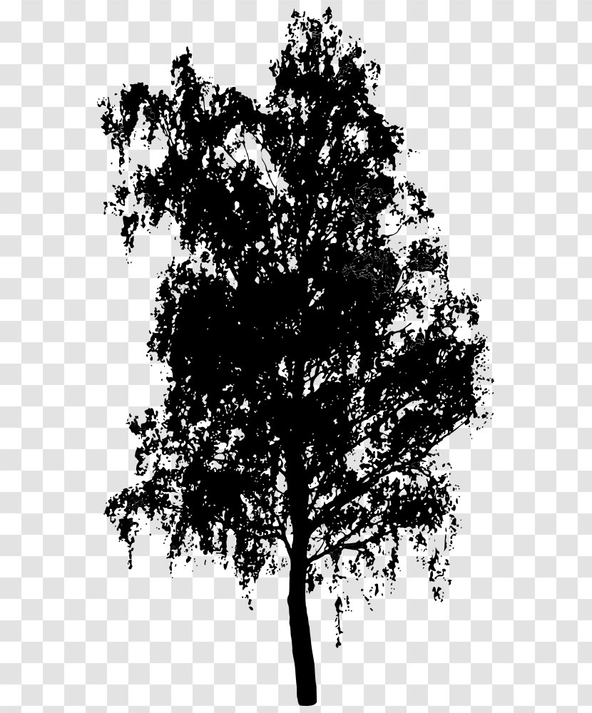 Tree Shrub Clip Art - Monochrome Transparent PNG