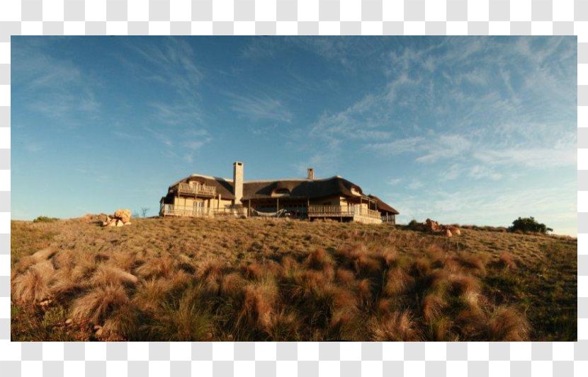 Gondwana Game Reserve Fynbos Mossel Bay Garden Route - Property - Hotel Transparent PNG