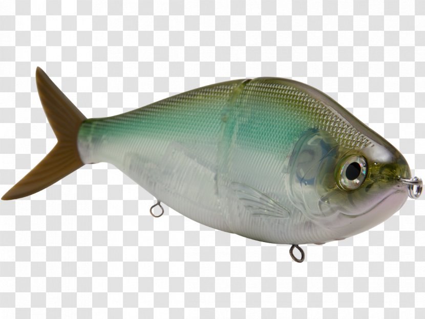 Sardine Oily Fish Milkfish Marine Biology - Fishing Lure - Bait Transparent PNG