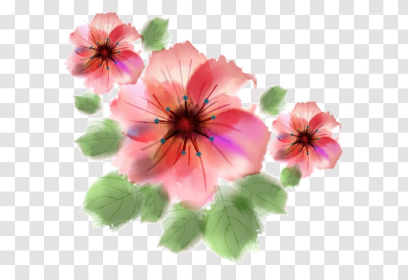 Watercolour Flowers Watercolor Painting - Annual Plant Transparent PNG