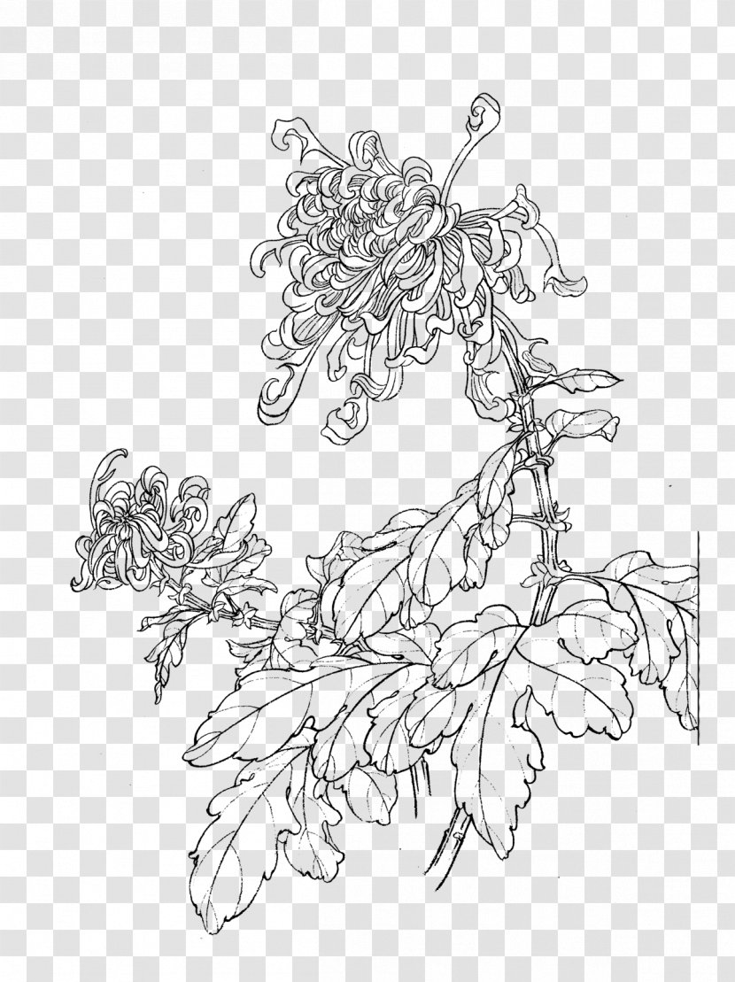 Chrysanthemum Tea Song Dynasty U767du63cfu753b Gongbi Transparent PNG