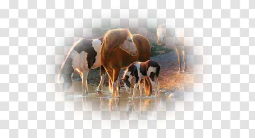 Jigsaw Puzzles Castorland Horse Game - Toy Shop - Couple Relationship Transparent PNG