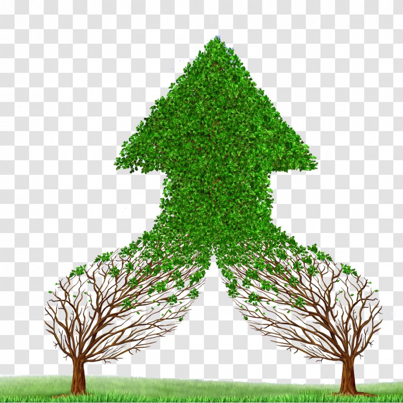 Management Accounting Business Mergers And Acquisitions - Organization - Beautiful Green Material Transparent PNG