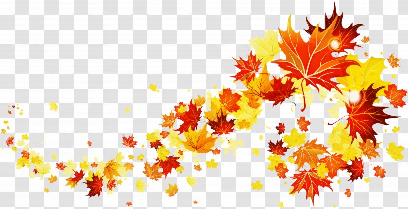 Autumn Vector Graphics Image Illustration Prix Fixe Menu - Deciduous - Maple Transparent PNG