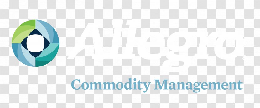 Allegro Development Corporation Risk Management Commodity Market Energy Industry - Financial Engineering Associates Inc Transparent PNG