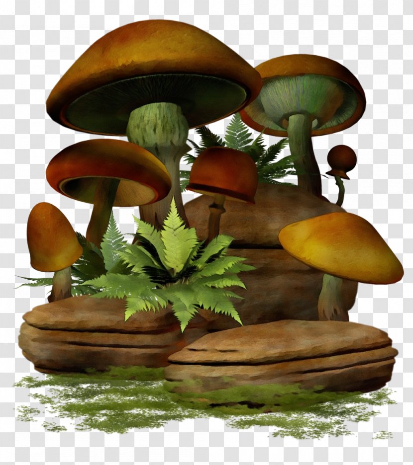 Mushroom Cartoon - Champignon - Russula Integra Transparent PNG