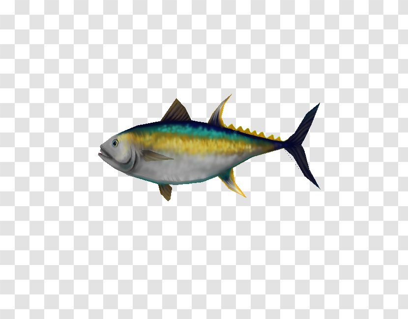 Thunnus Sardine Mackerel Fish Products Milkfish - Marine Mammal Transparent PNG