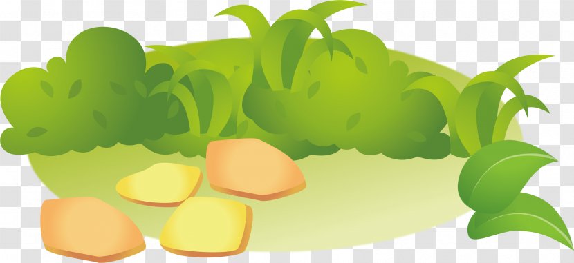 Illustration - Fruit - Grass Vector Element Transparent PNG