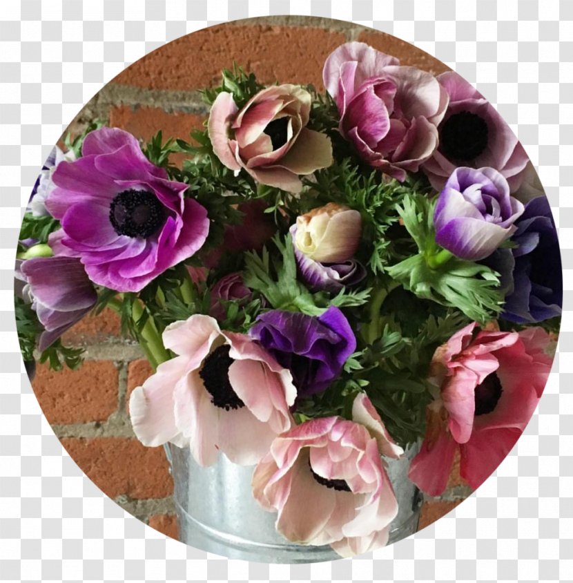 Rose Cut Flowers Floral Design VALENTINE'S DAY POP UP - Anemone Transparent PNG