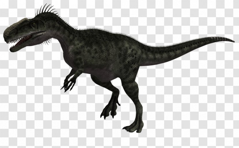 Tyrannosaurus Monolophosaurus Allosaurus Dilophosaurus Velociraptor - Megalosauridae - Godzilla Transparent PNG