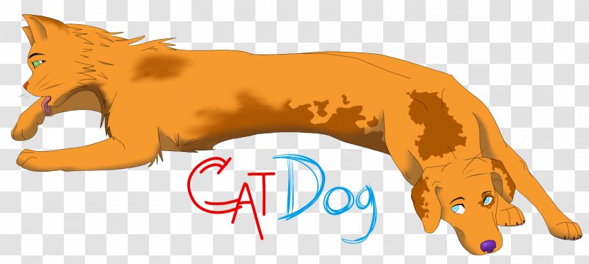 Cat Lion Dog Mammal Paw - Small To Medium Sized Cats Transparent PNG