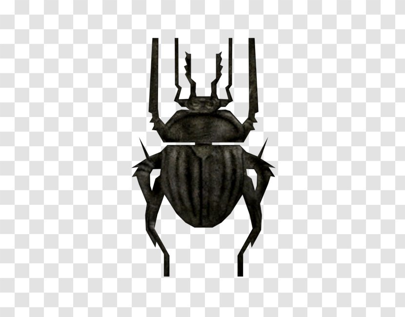 Japanese Rhinoceros Beetle Beetles Scarab Insect - Membrane Winged Transparent PNG