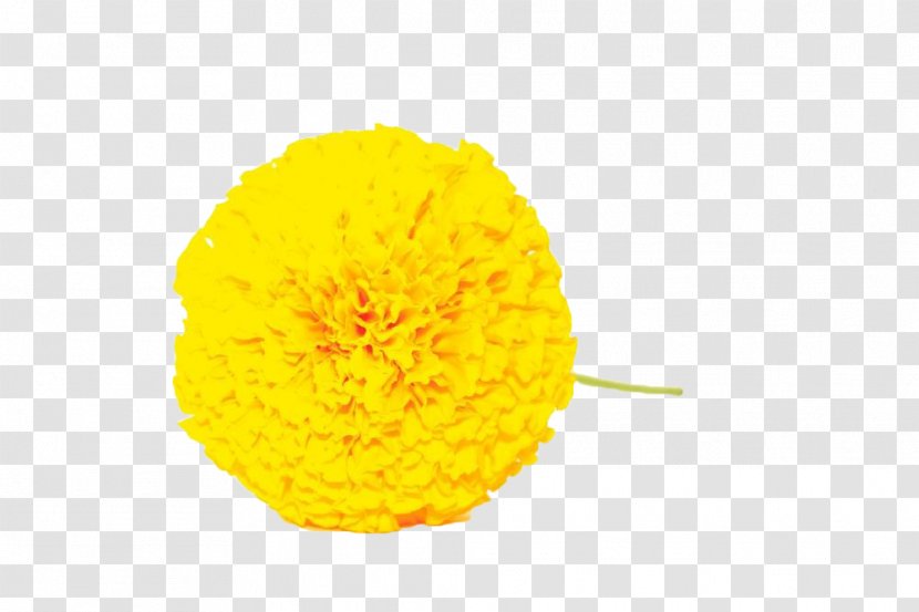 Petal Yellow - Marigold Transparent PNG