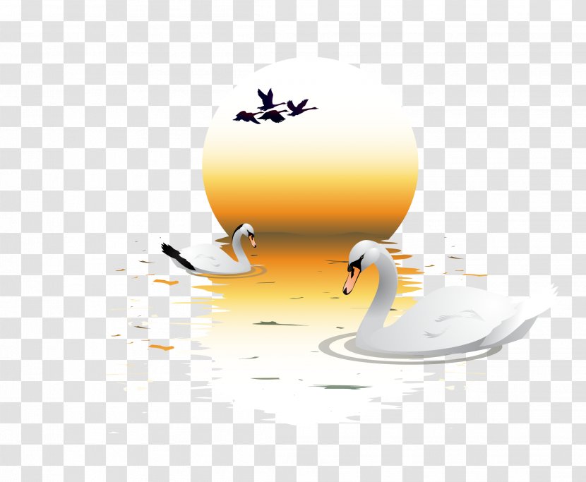 Water Bird Goose Anatidae Illustration - Vector Swan Lake Transparent PNG