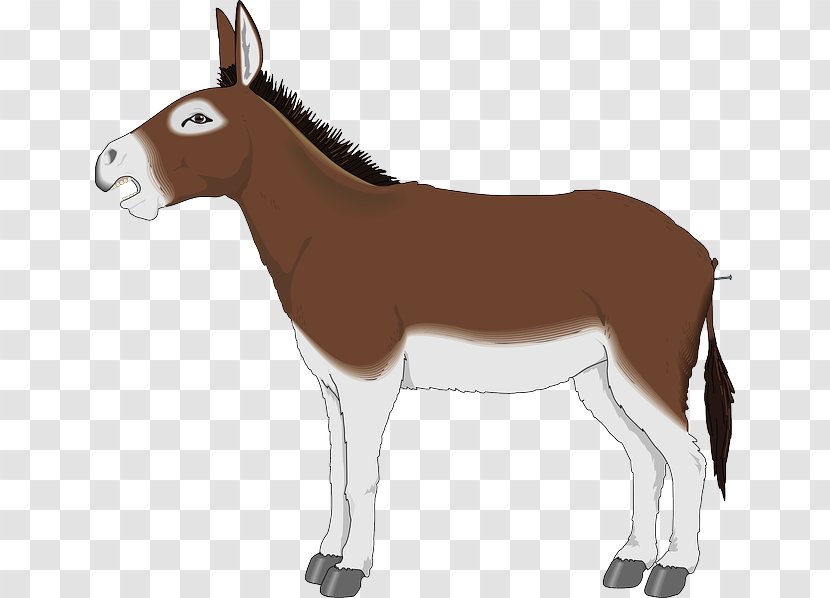 Donkey Cartoon Clip Art - Foal Transparent PNG