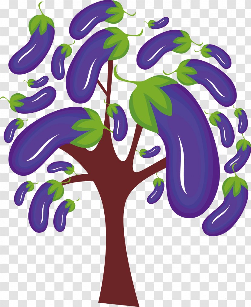 Eggplant Illustration - Organism - Tree Transparent PNG