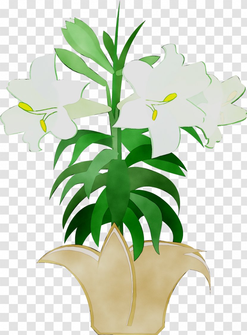 Clip Art Easter Lily Holy Week - Monstera Deliciosa - Alismatales Transparent PNG