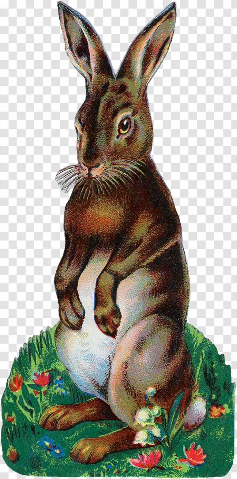 Easter Bunny Angora Rabbit Clip Art Transparent PNG