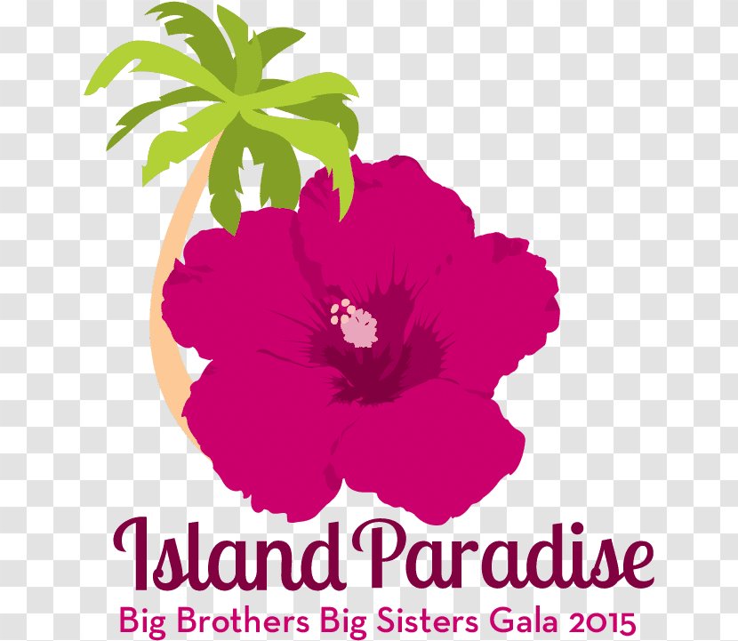 Pink Flower Cartoon - Hibiscus - Impatiens Mallow Family Transparent PNG