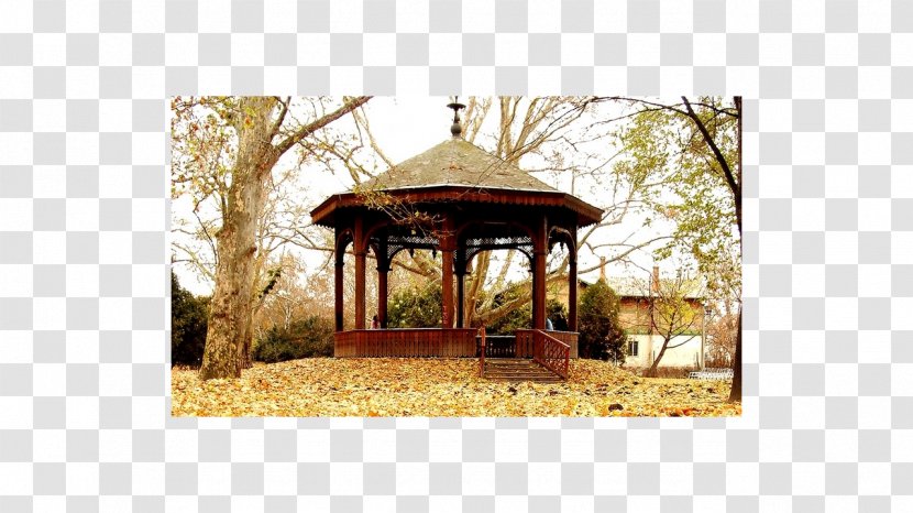 Landscape Gazebo - Hut - Samantha Bond Transparent PNG