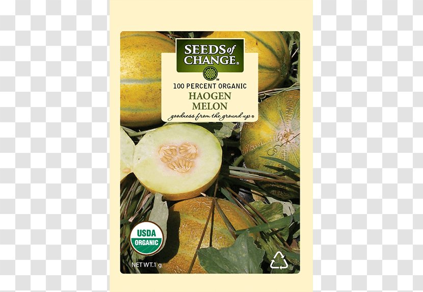 Organic Food HaOgen Natural Foods Superfood - Seed - Melon Transparent PNG