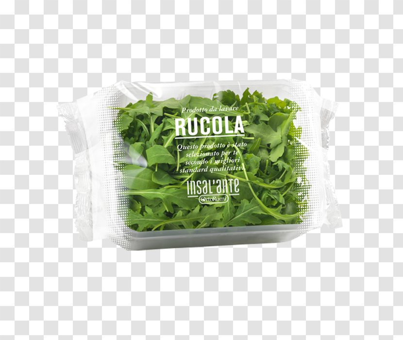 Lettuce Arugula Carpaccio Salad Vegetable - Condiment Transparent PNG