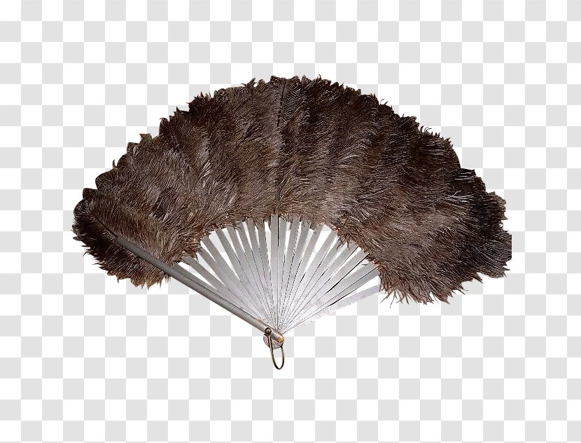 Hand Fan Feather Common Ostrich 1920s Vintage Clothing - Fur Transparent PNG