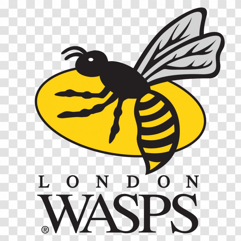 Wasps RFC Ricoh Arena London Irish Gloucester Rugby Worcester Warriors - Artwork Transparent PNG