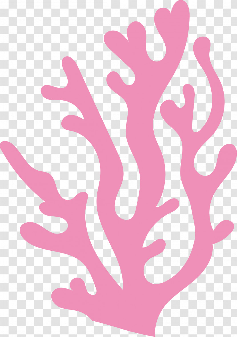 Pink M Line M-tree Meter Tree Transparent PNG