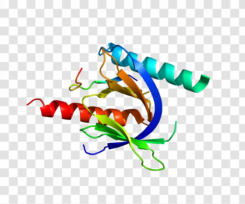 CD29 Integrin VLA-4 Receptor Reelin - Neurons Transparent PNG