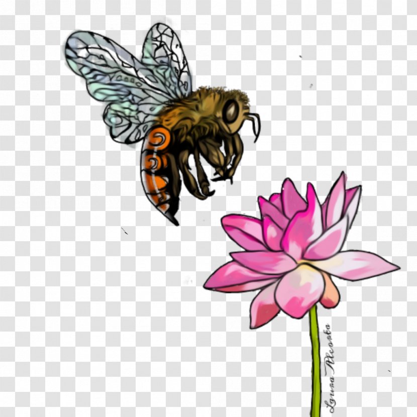 Monarch Butterfly Drawing - Honeybee - Wildflower Bumblebee Transparent PNG