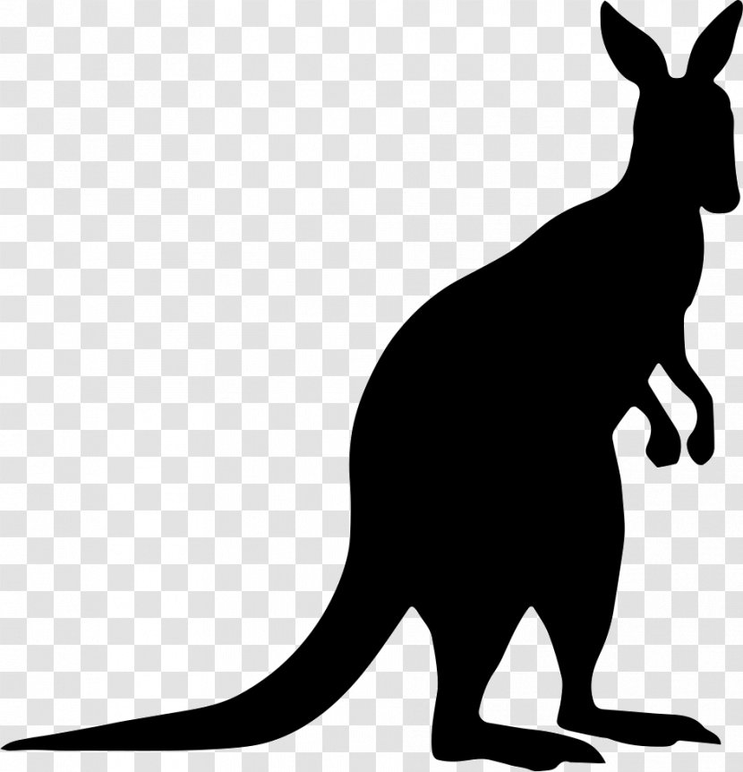 Kangaroo Silhouette Macropodidae Clip Art - Royaltyfree Transparent PNG