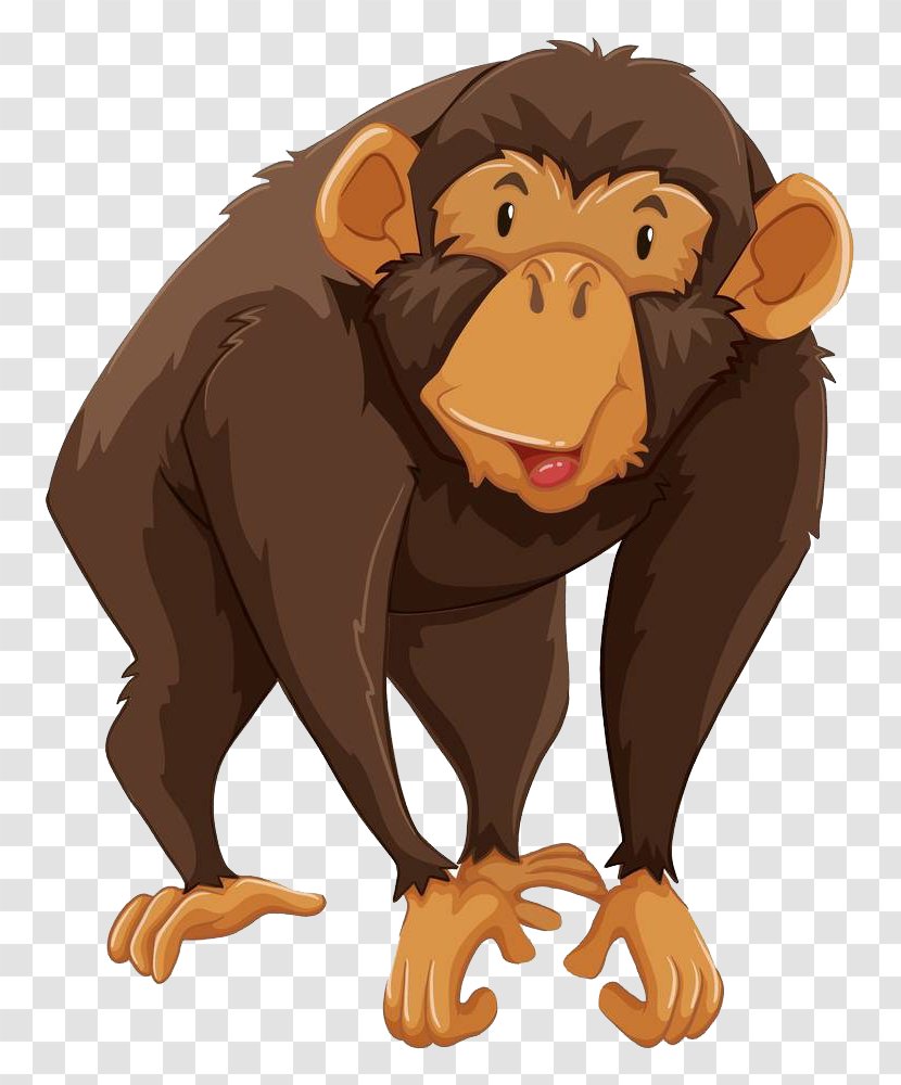 Gibbon Monkey Chimpanzee Illustration - Mammal - Standing Gorilla Transparent PNG