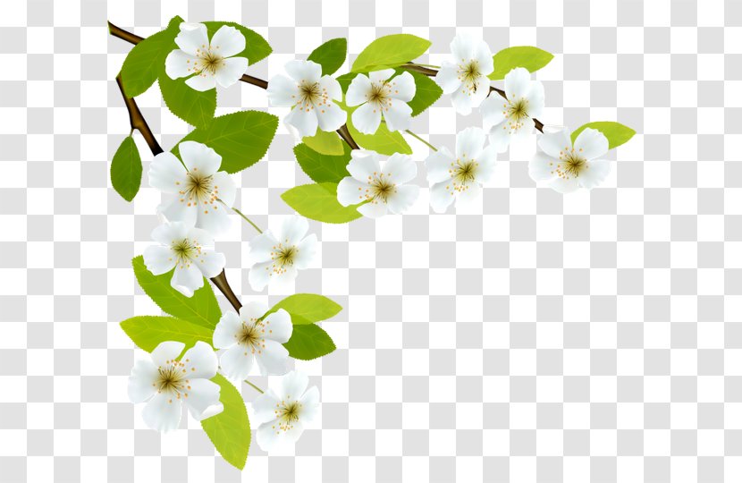 Spring Branch Clip Art - Flowering Plant Transparent PNG