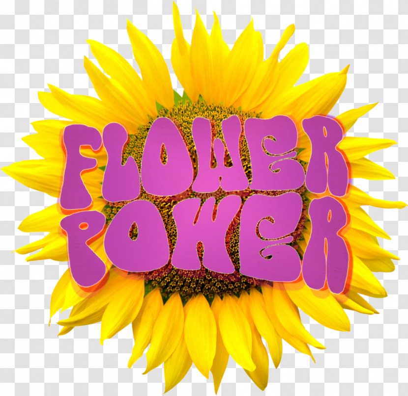 Blumen Sunflower Image Resolution Clip Art - Flower Logo Transparent PNG