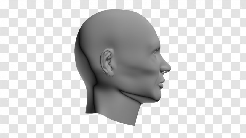 Chin Jaw Mouth - Neck - Magazine Transparent PNG
