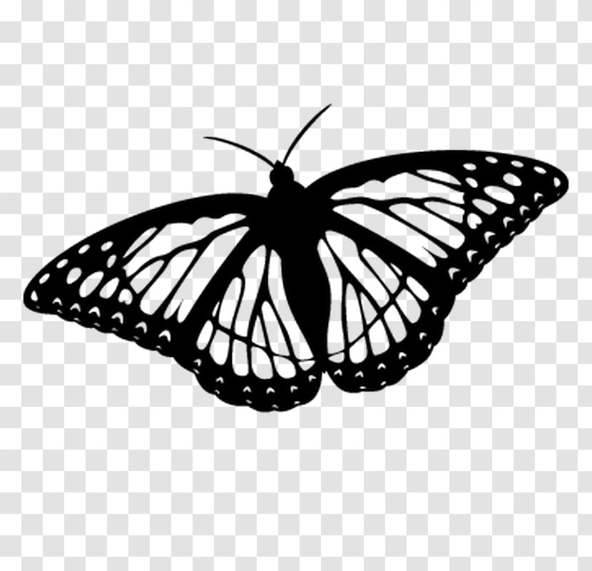 Monarch Butterfly Coloring Book Clip Art Drawing - Biological Life Cycle - Papillon Movie Review Transparent PNG