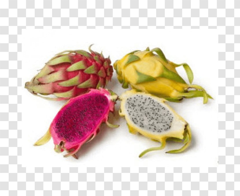 Pitaya Fruit Nutrition Health Dietary Fiber - Food - Dragon Transparent PNG
