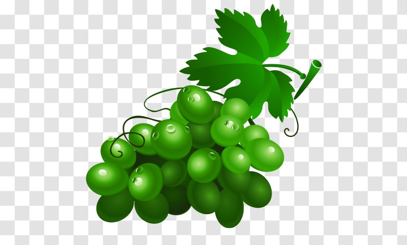 Wine Grape Drawing Fruit Clip Art - Green - Cartoon Grapes Transparent PNG
