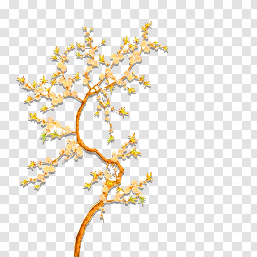 Plant Illustration - Tree - Beautiful Transparent PNG