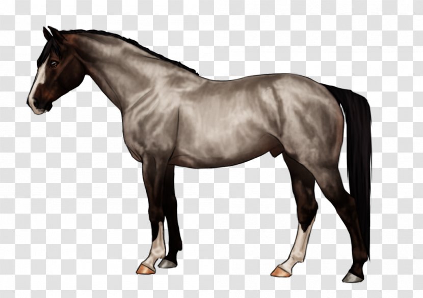 Mane Mustang Stallion Mare Pony - Horse Transparent PNG