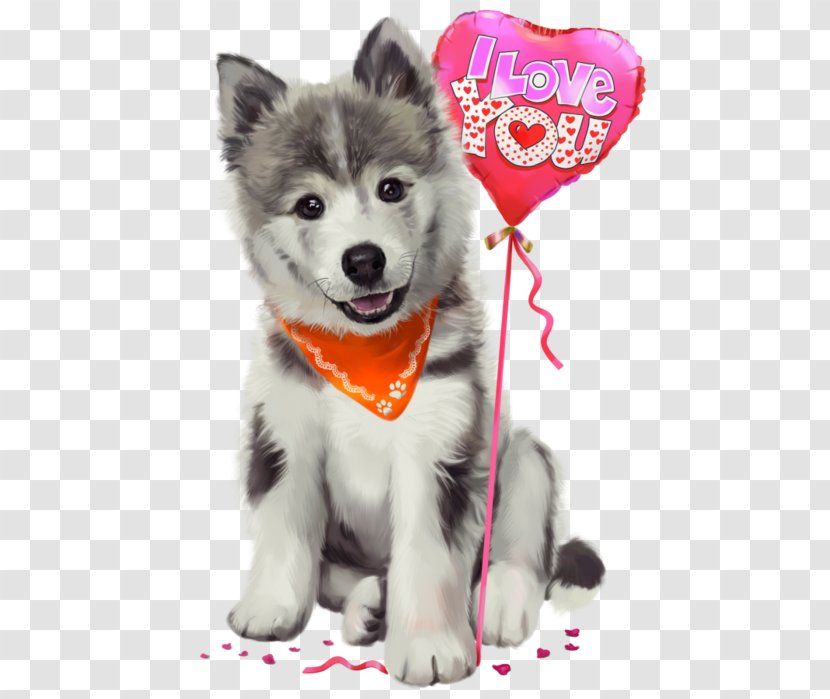 Miniature Siberian Husky Alaskan Malamute Sakhalin Puppy - Klee Kai Transparent PNG