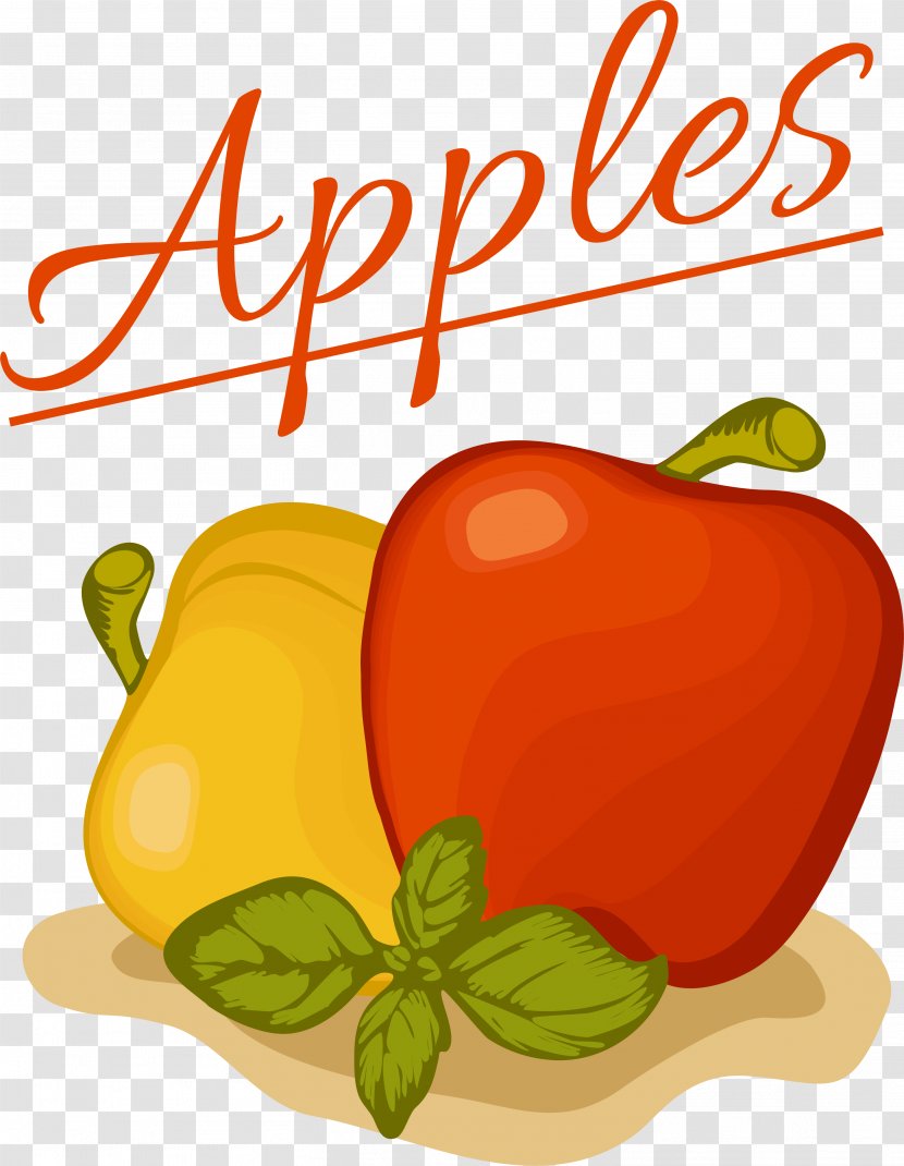 Habanero Bell Pepper Paprika Illustration - Tomato - Red Simple Fruit Apples Transparent PNG